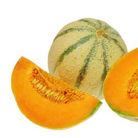 AUSVERKAUFT: Melone Charentais Setzling